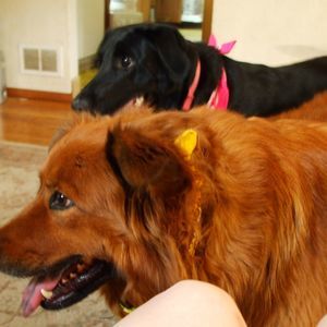 Meet your Posher, Kathy